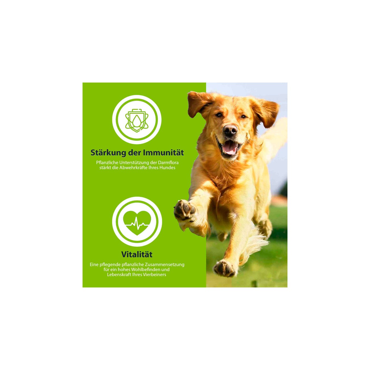 Balloony.pet German Shephy Hundefutter Vegan Protein 500 g