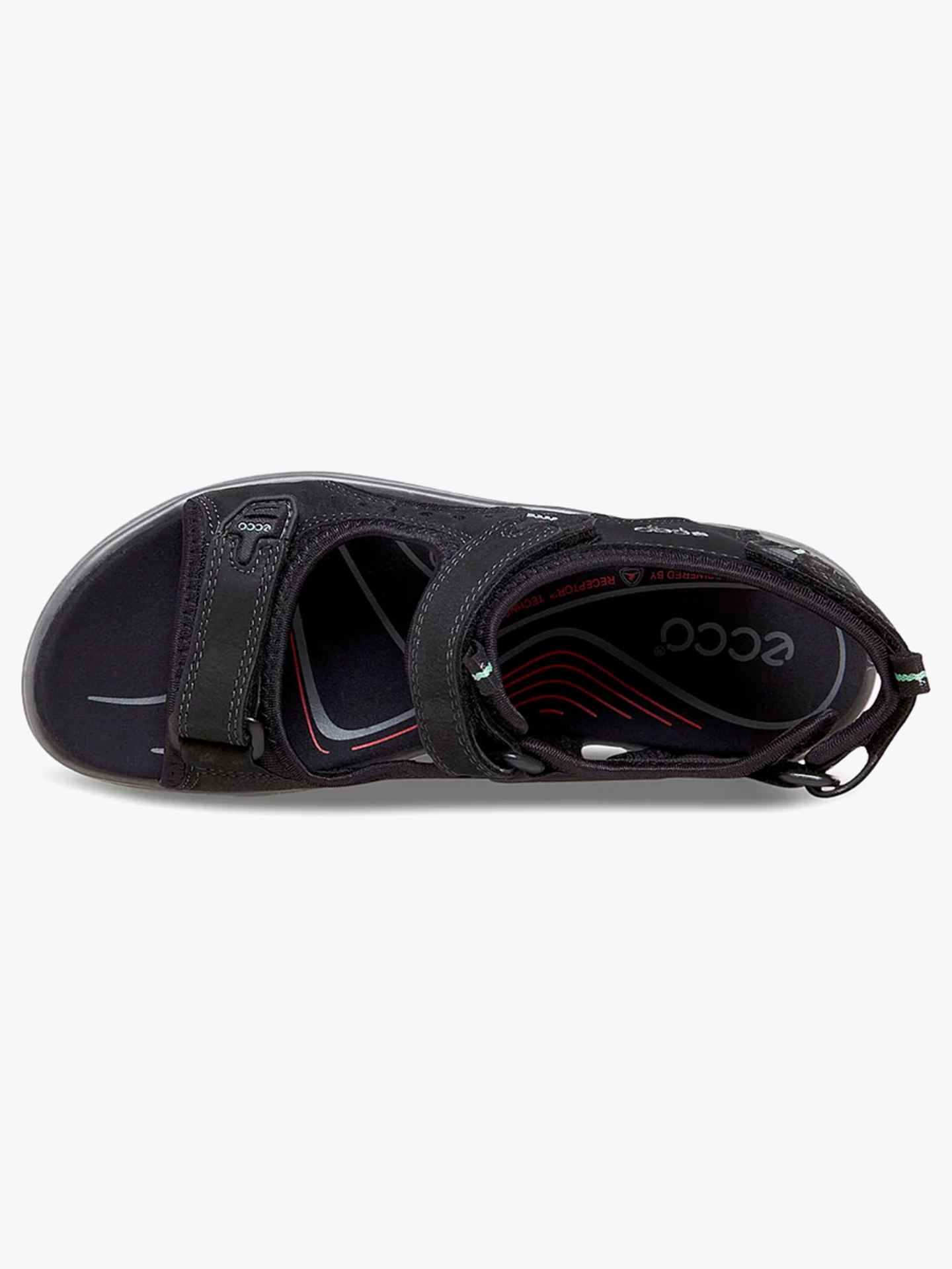 Ecco Andes II Sandal