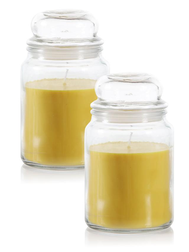 Citronella Duftkerze gegen Mücken | 2er-Set