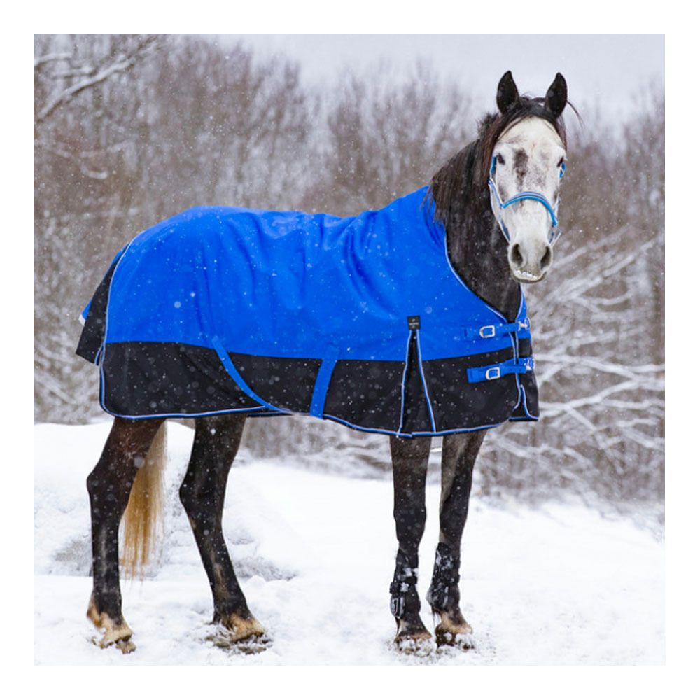 Equitheme TYREX 1200D AISANCE 50G - Couverture de paddock bleu/nr