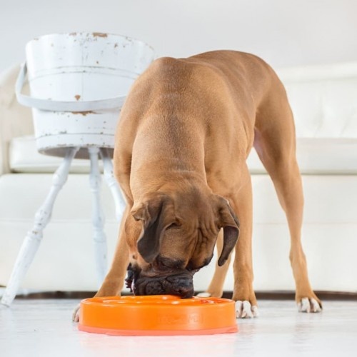 Comedouro lento Slo Bowl para cães, laranja