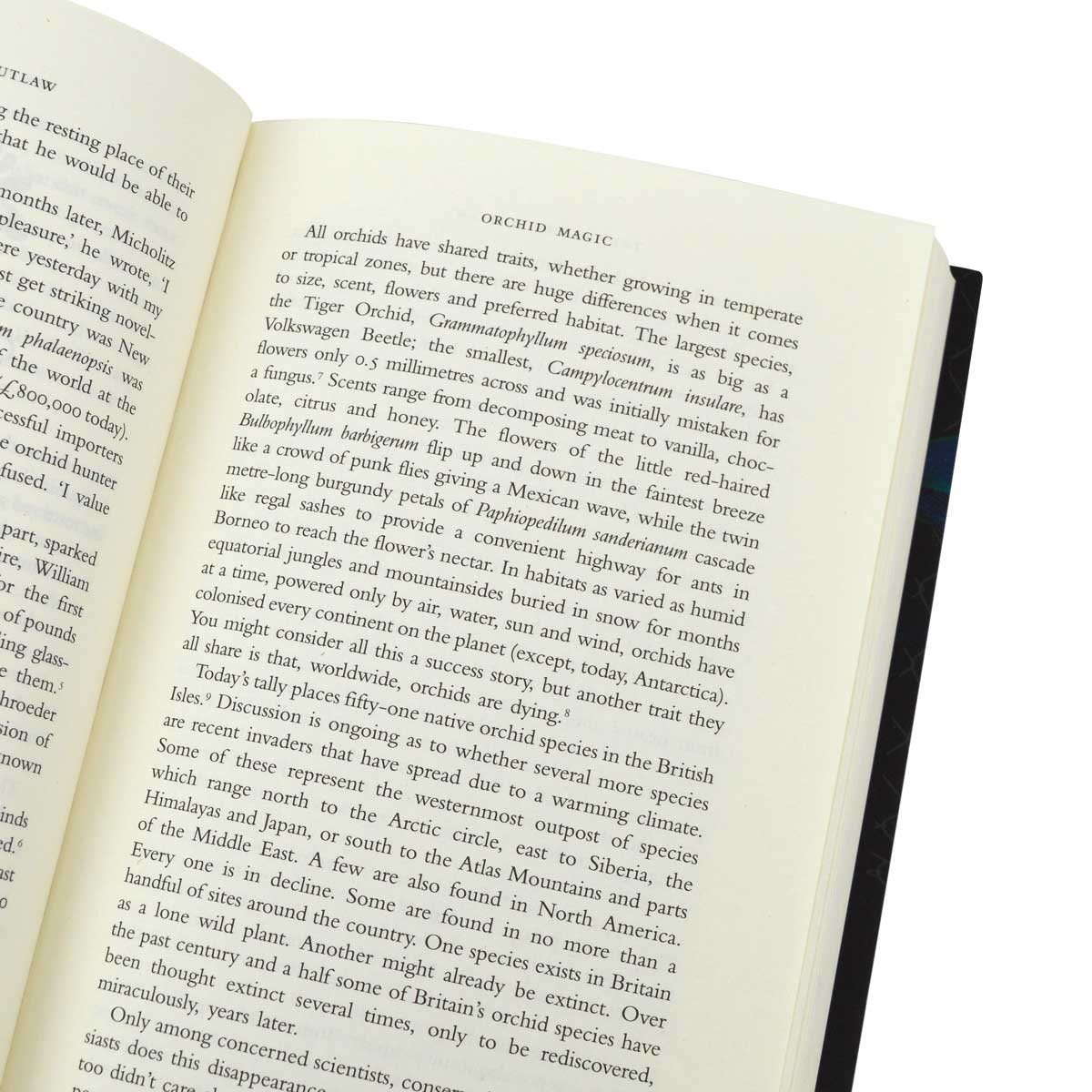 The Orchid Outlaw (Hardback)