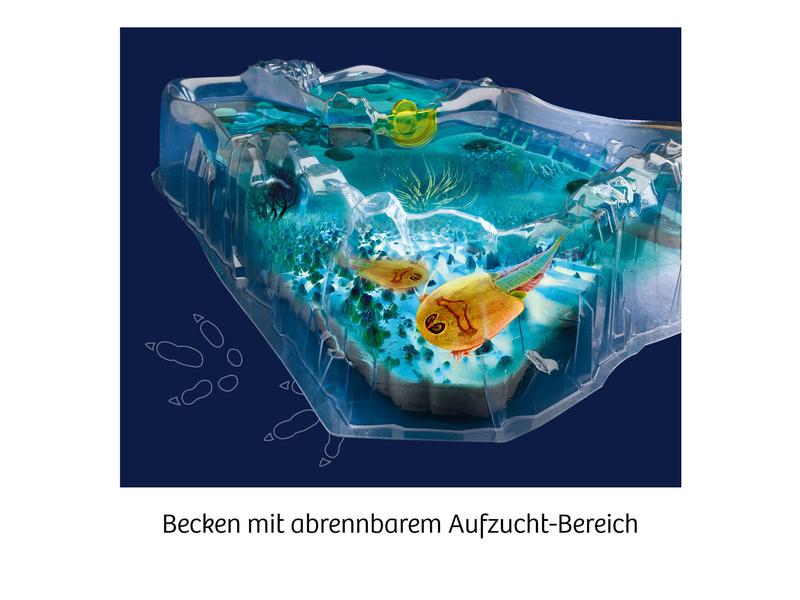 Kosmos Experimentierkasten Fun Science – Triops züchten Erleben Sie die Krebse aus der Urzeit!