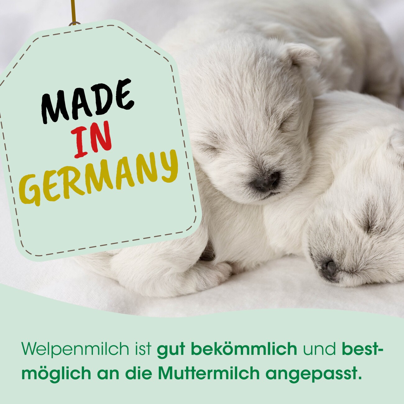 cdVet Welpenmilch 90 g