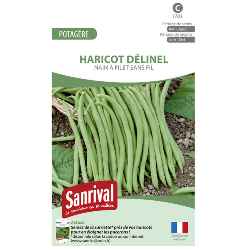 Graines haricot delinel
