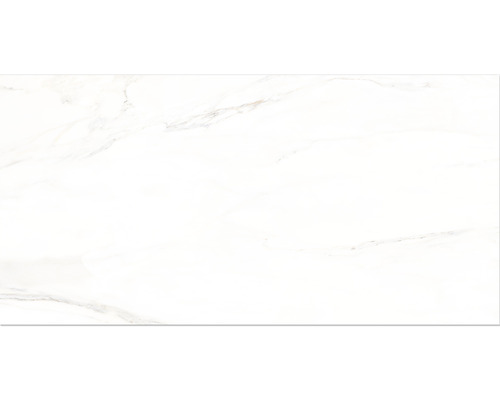 Porseleinen wand- en vloertegel Premium Calacatta wit 60 x 120 x 0,9 cm glanzend gerectificeerd