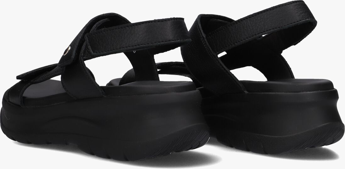 PANAMA JACK zwarte panama jack sandalen noor