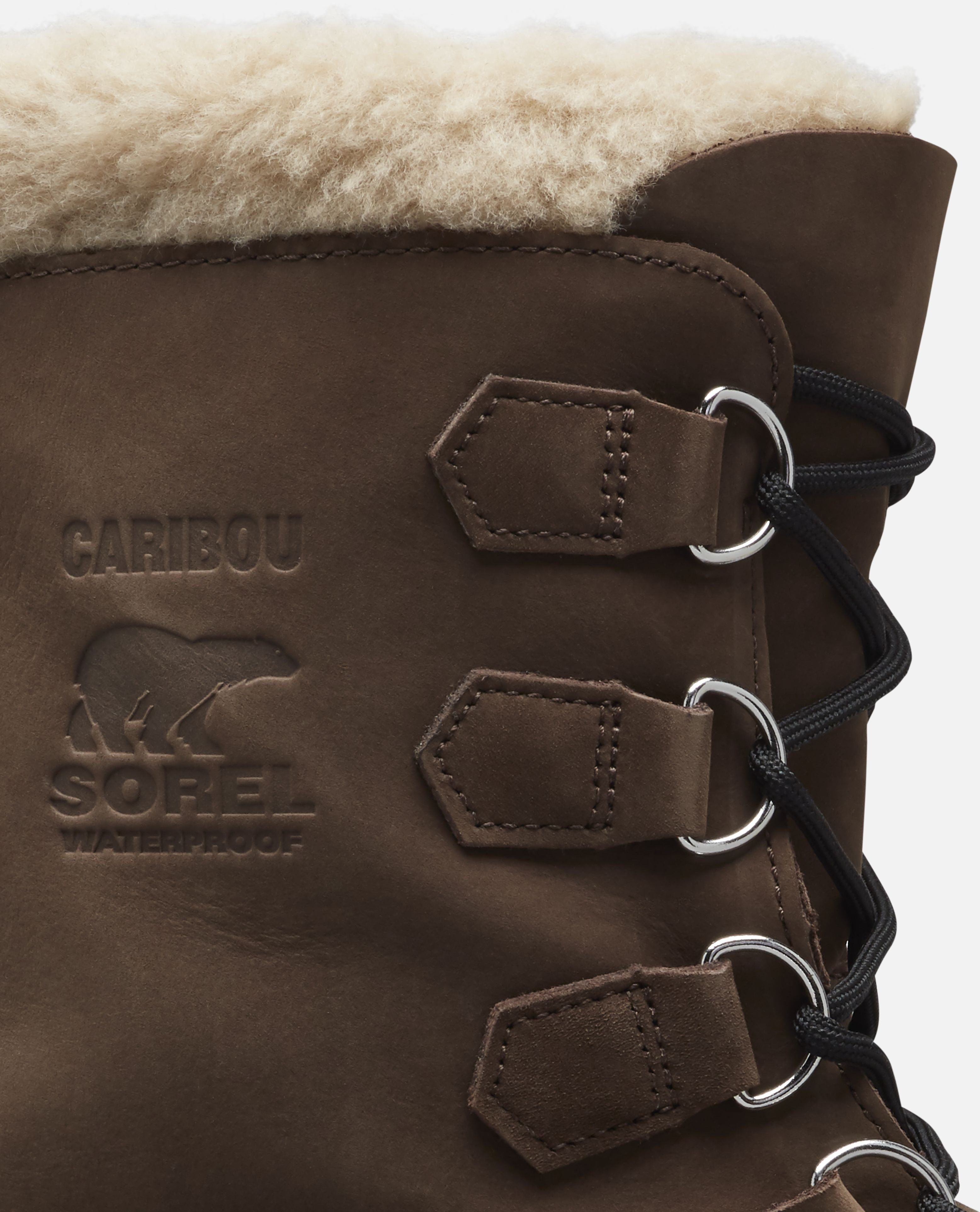 M Caribou WP