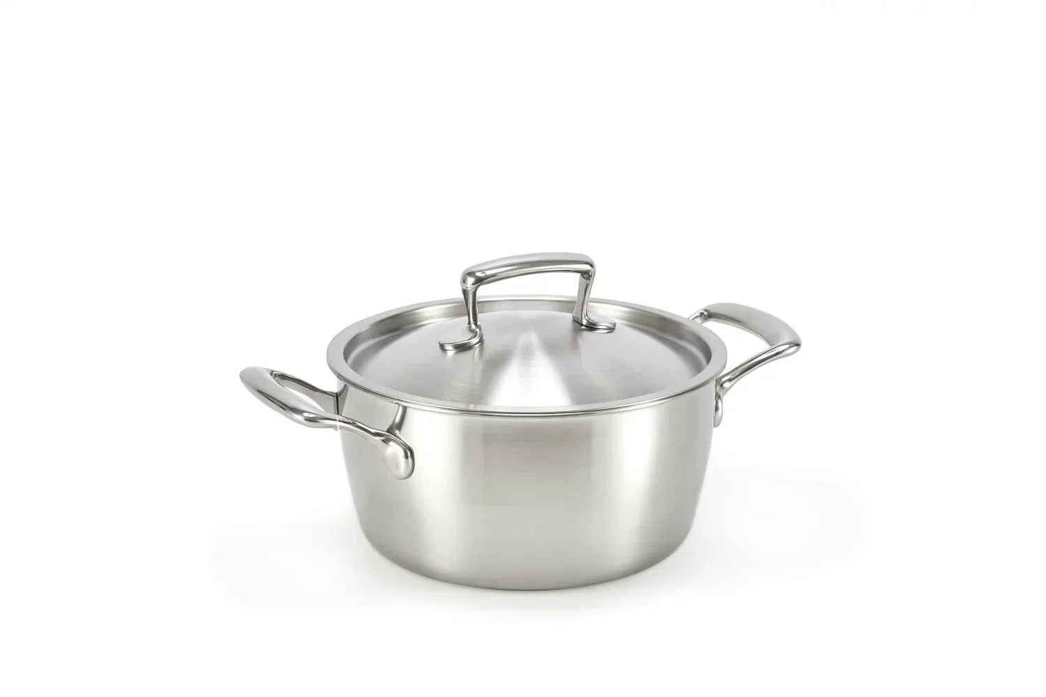 Habonne Queen kookpan - RVS