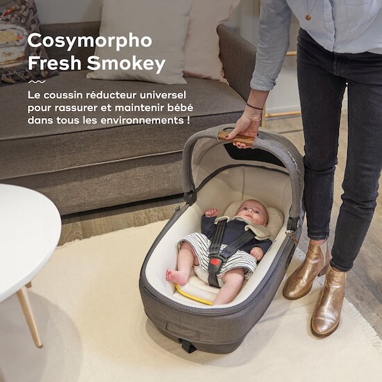 Cale-bébé Cosymorpho - Coussin Réducteur Universel   Fresh Smokey        de               Babymoov