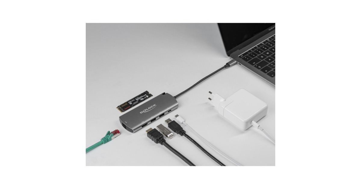 DeLOCKUSB Type-C Docking Station met M.2 Slot  (Grijs)