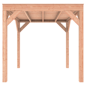 Overkapping Douglas 255x255cm