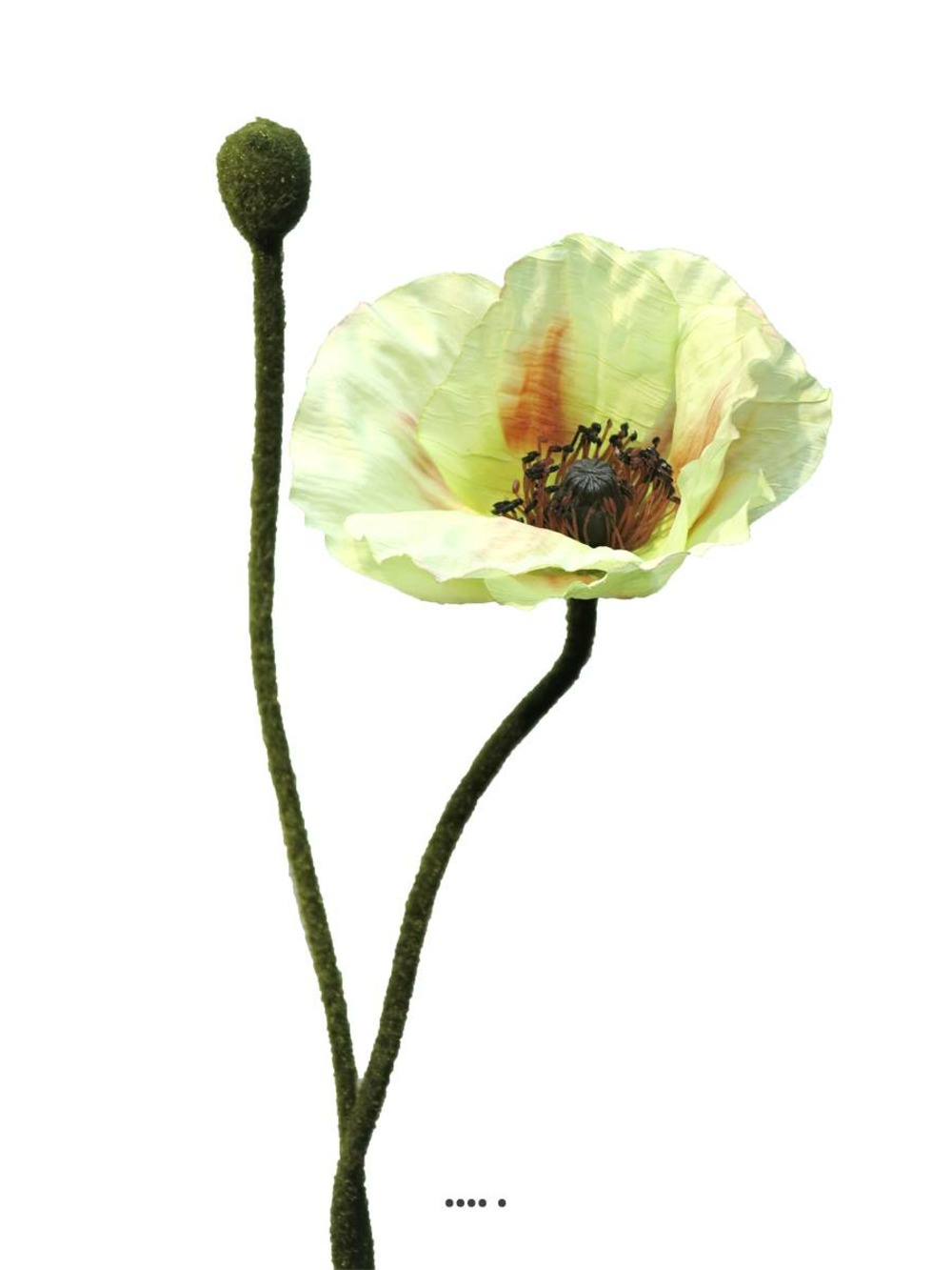 Pavot factice h60cm 1 fleur & 1 bouton superbe fleur crème vert - best - couleur