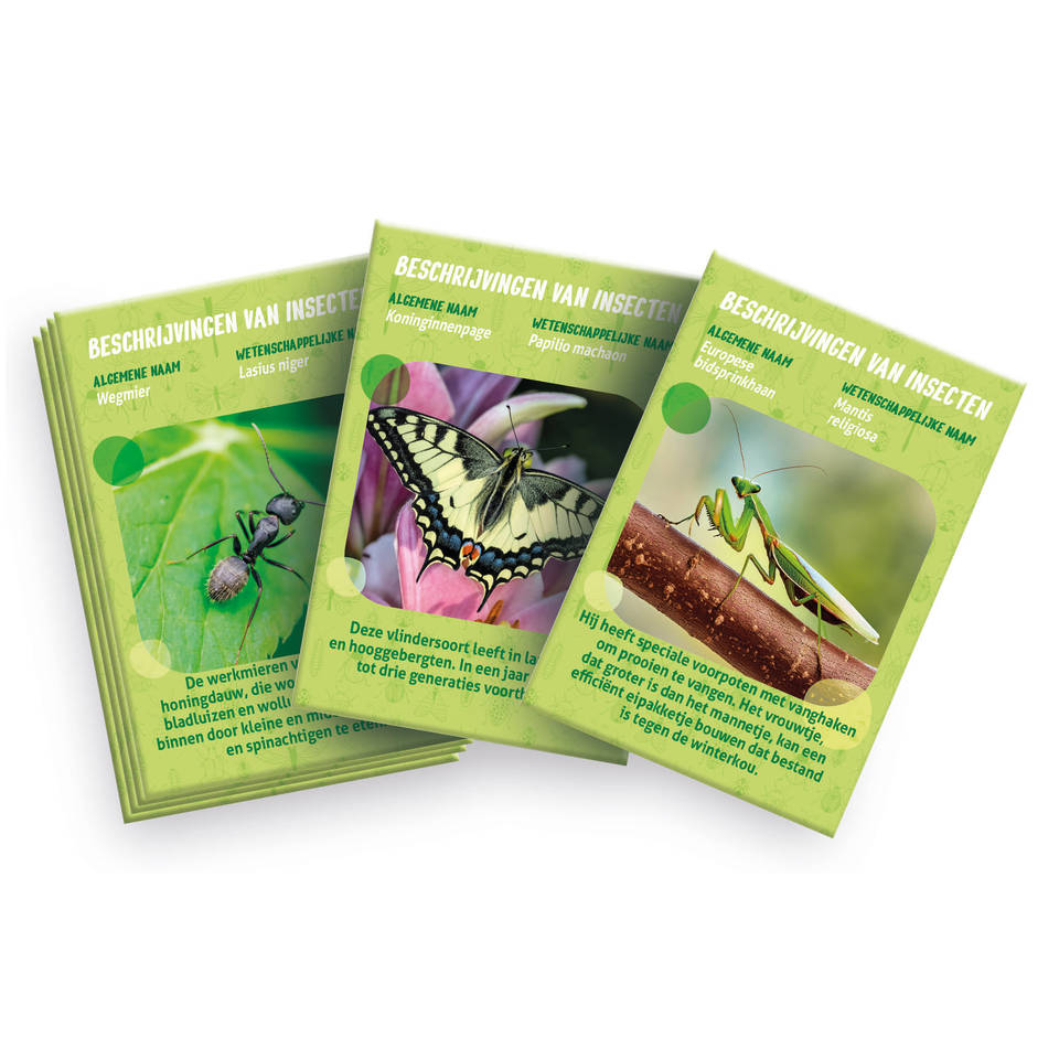 Clementoni Wetenschap & Spel insecten observatorium