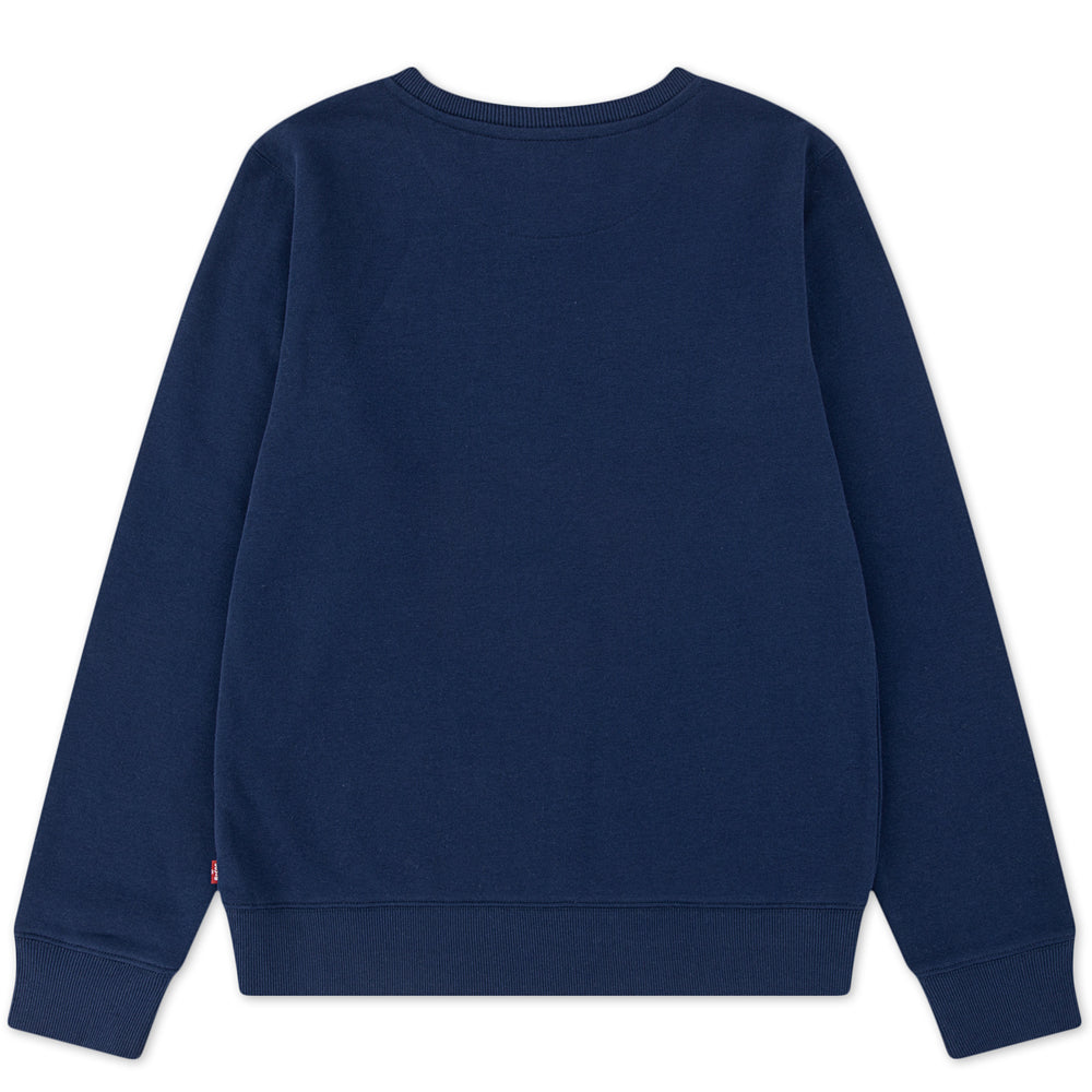 LVB LOGO sweatshirts
