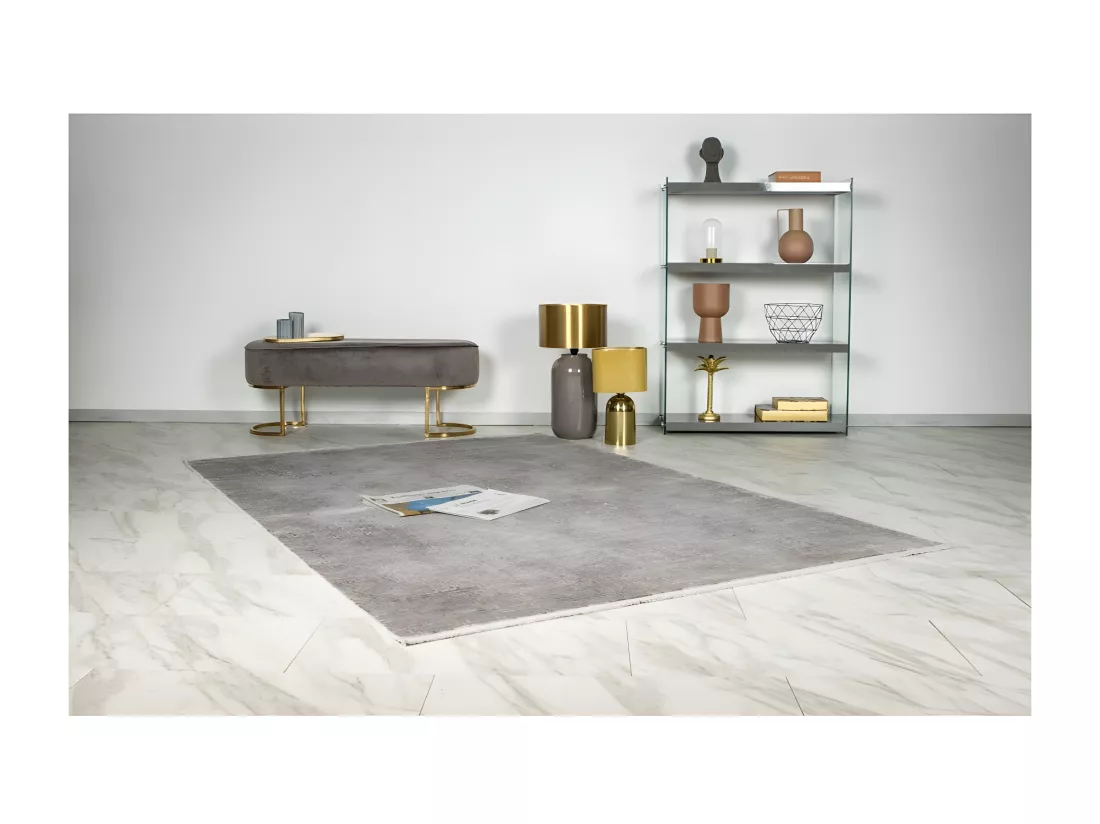 Tapis Pierre Cardin 290x200cm, design E209E coloris argent - Confort et élégance pour votre intérieur