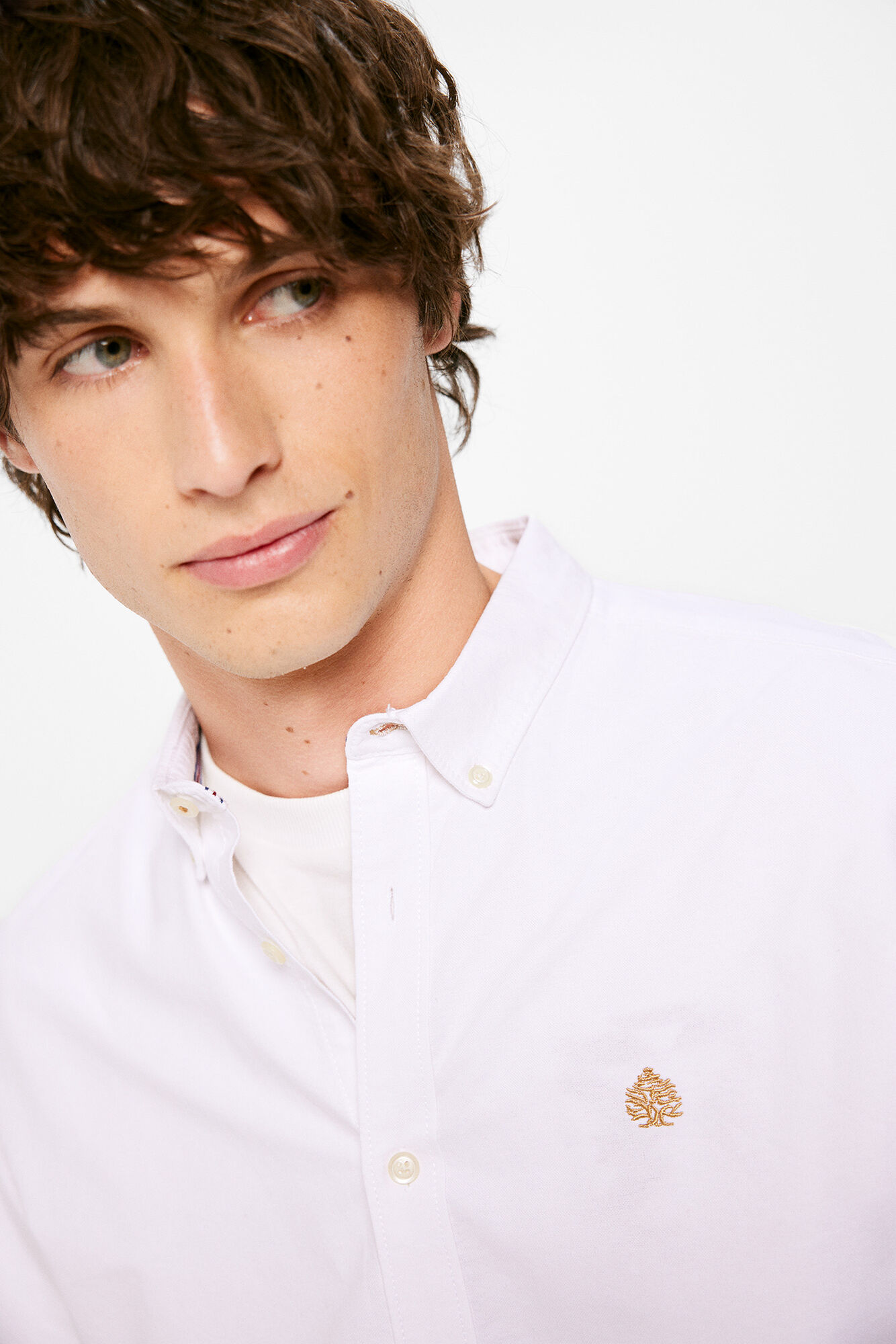 Cor da camisa Oxford
