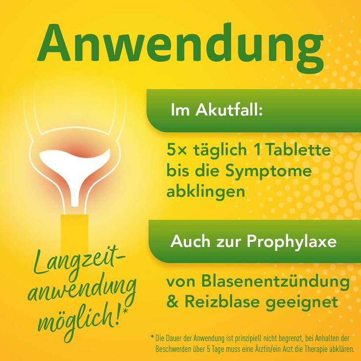 Solidago Aristo 300 mg Tabletten, 100 St