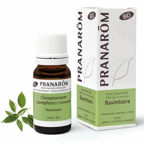 Huile essentielle Bio de Ravintsara - 10 ml