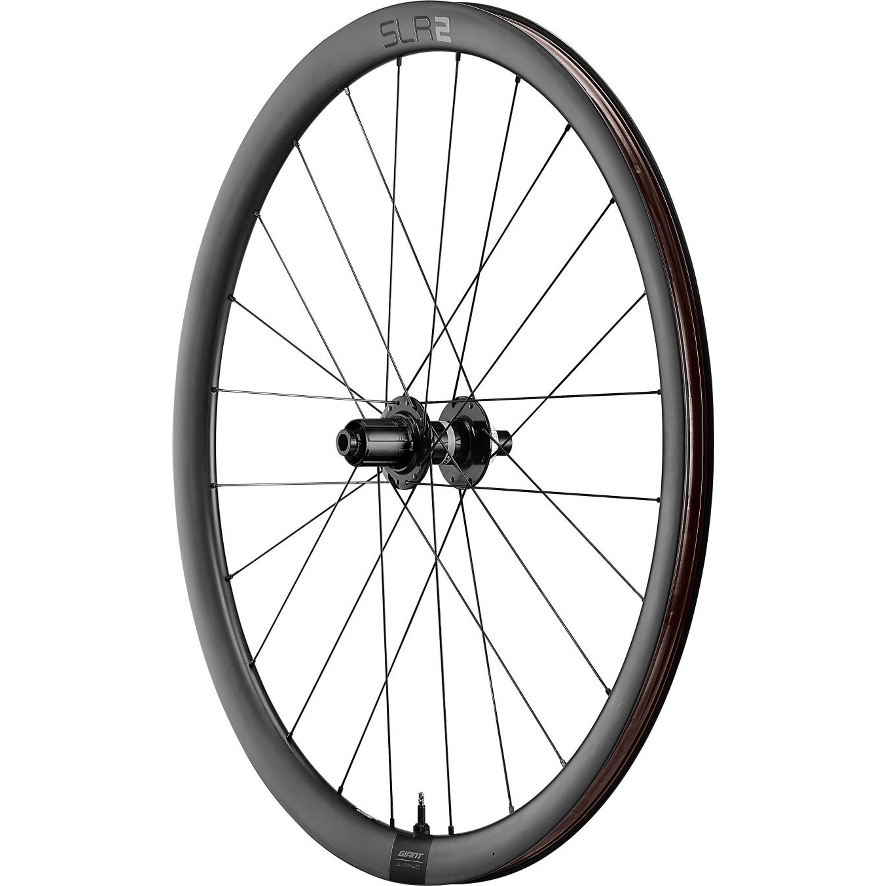 Giant SLR 2 36 Disc Racefiets Wielset
