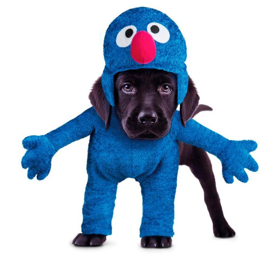 Fantasia de Coco para cães