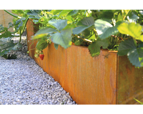 Plantenframe Palatino Carlotta metaal 100 x 40 x 25 cm cortenstaal