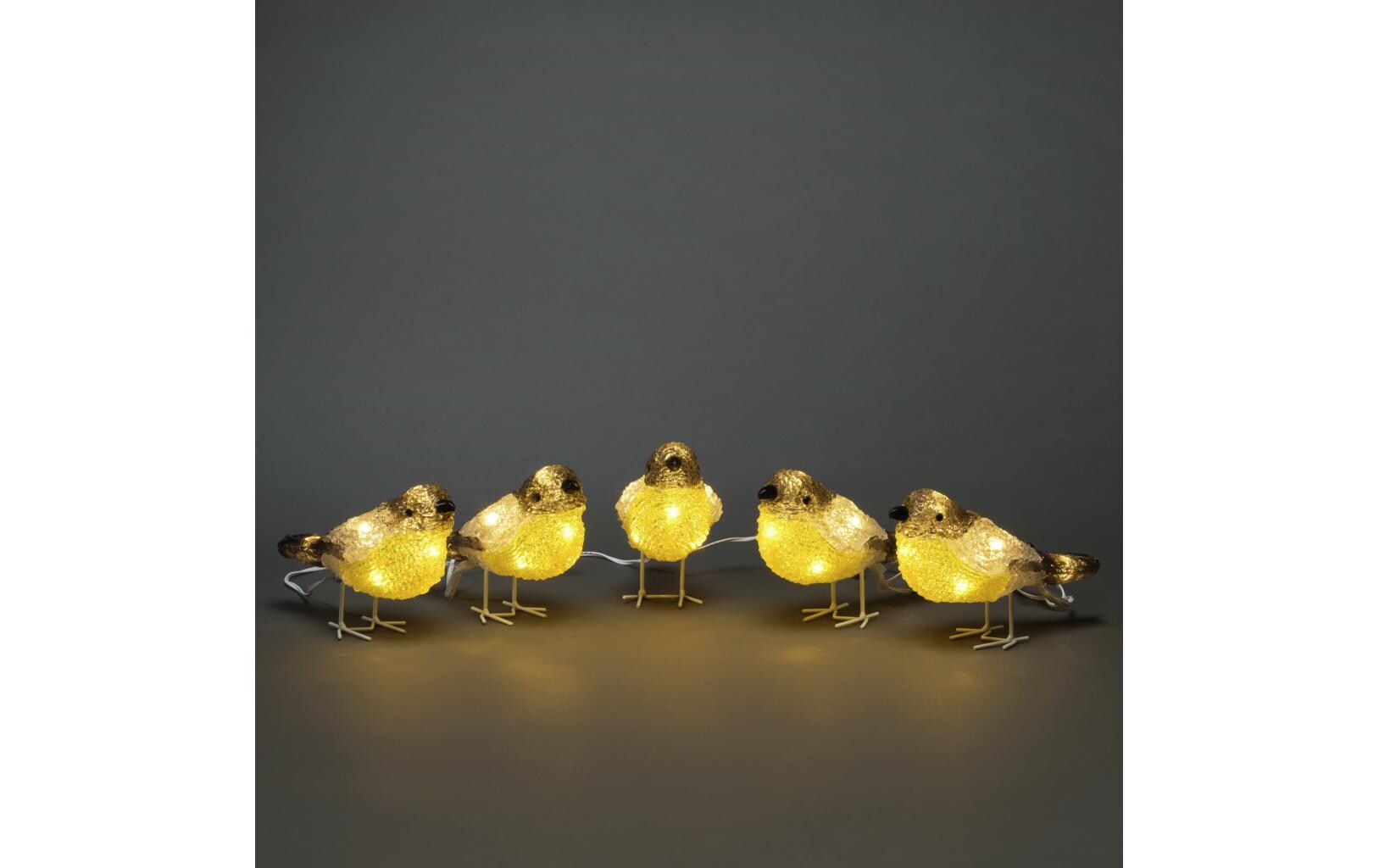LED-Figur Acryl Vögel, 5er SetLeuchtende Vögel