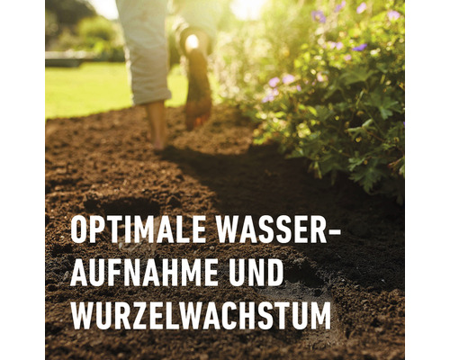 COMPO SANA® potgrond voor vaste planten, struiken, hagen en bomen 50 L
