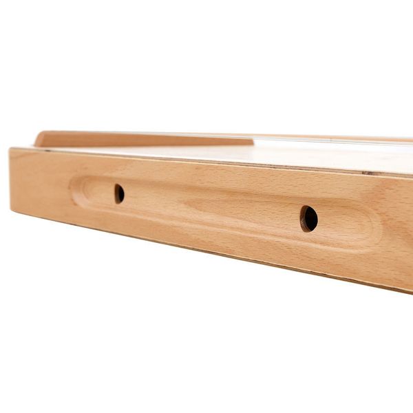 Allton Monochord for Hospital Use