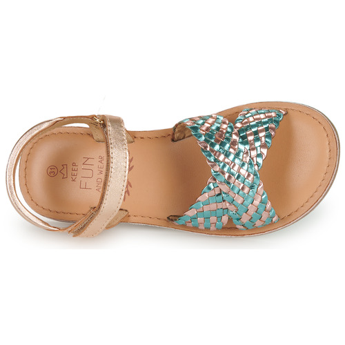 Mod'8 - CANIBRAID - Doré / Turquoise