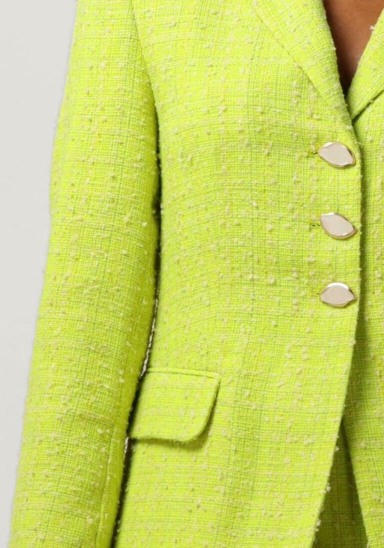 FABIENNE CHAPOT lime fabienne chapot blazer cher blazer