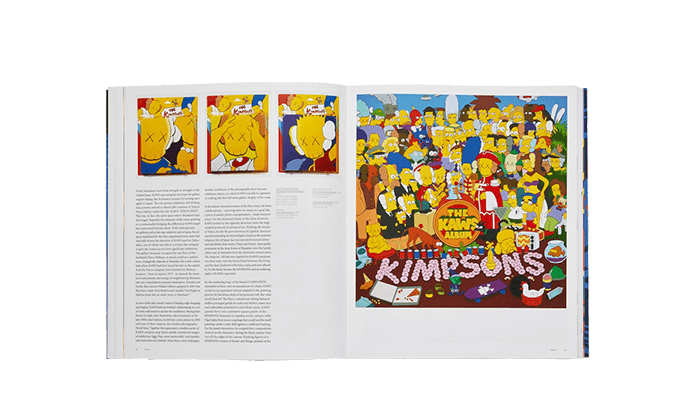 Phaidon Artbook KAWS