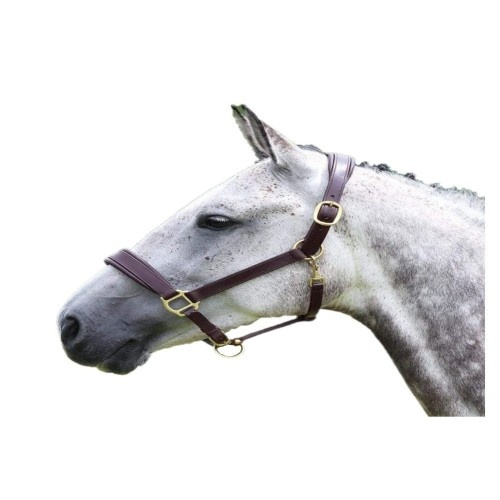 Cabresto de couro preto Blenheim para cavalos