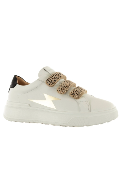 Baskets basses vanessa wu salome leopard