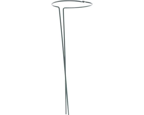 Plantensteunen, plantenhouders, set van 2, 100 cm hoog