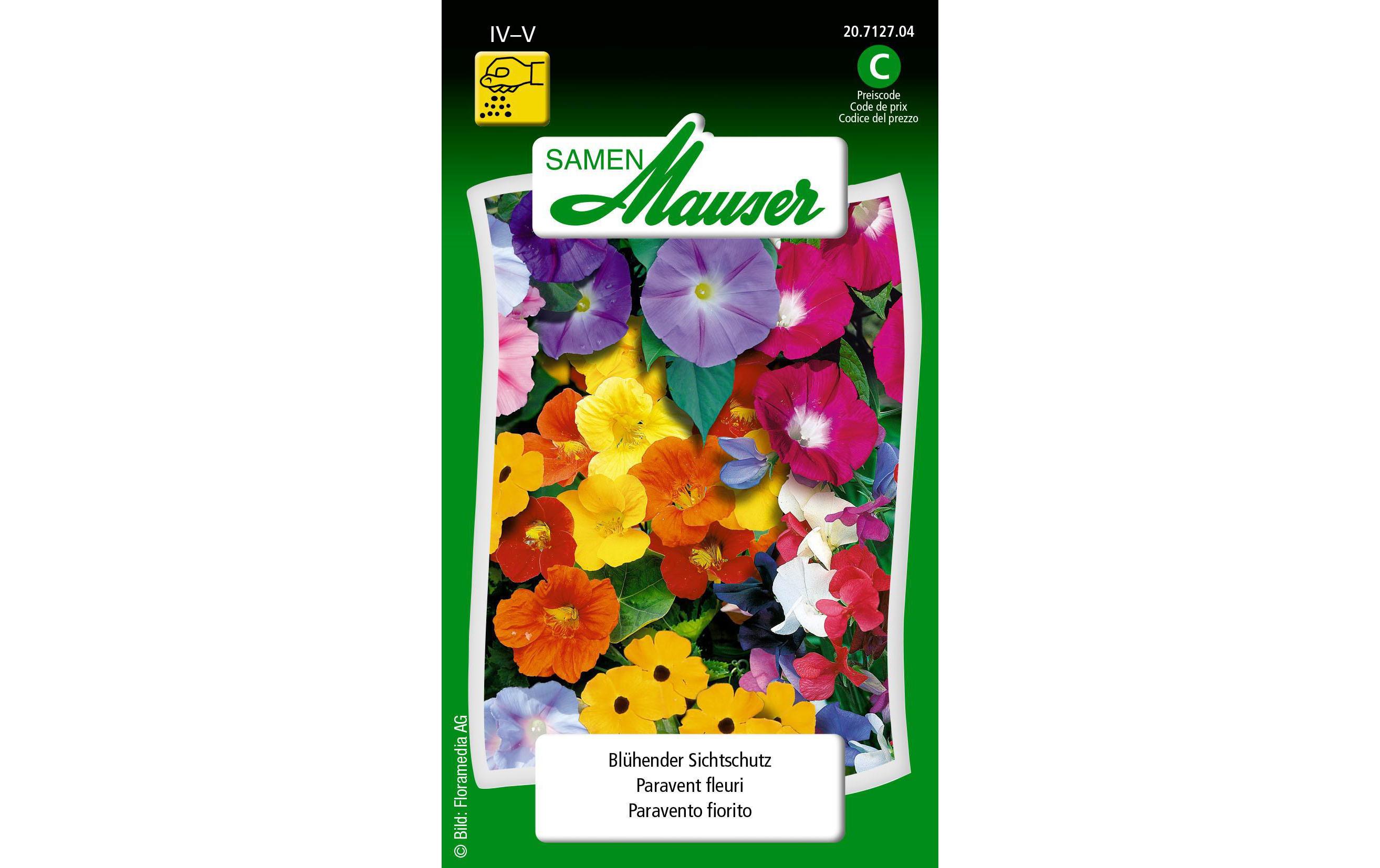 Saatgut Blühender SichtschutzBlumensamen