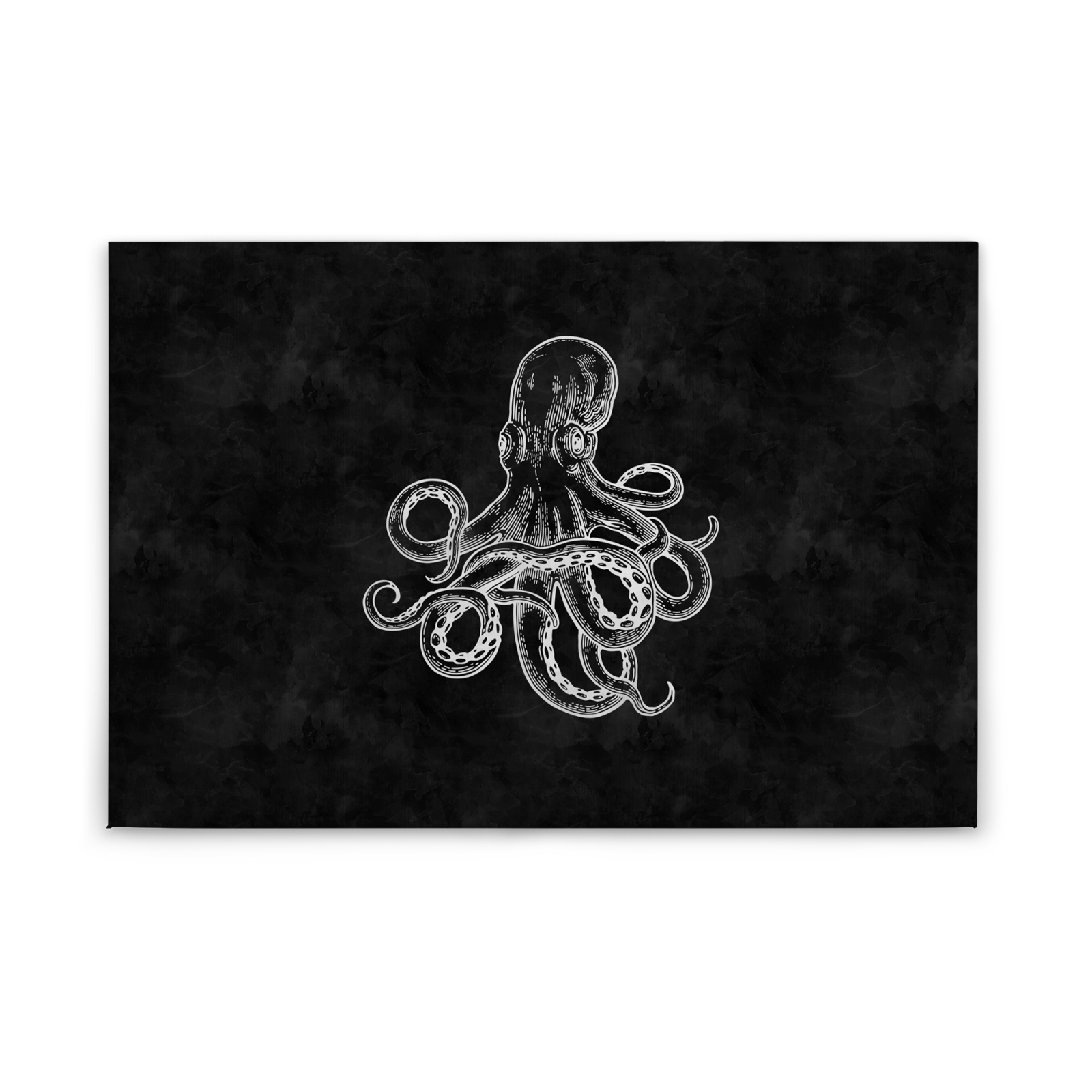 Leinwandbild QUALLE- schwarz-weiß - 90x60 cm