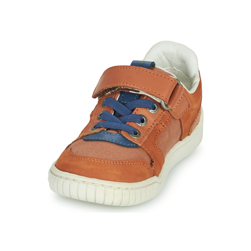Kickers - WINTUP - Camel