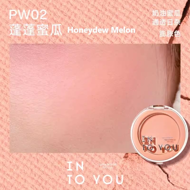 INTO YOU - Fluffy Pillow Enkele Blusher (1-3)