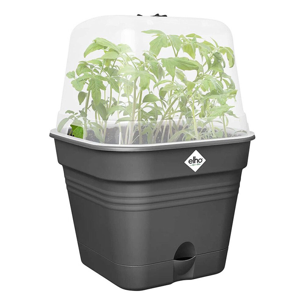 DYRKEPOTTE ELHO GREEN BASICS 25X25CM SVART