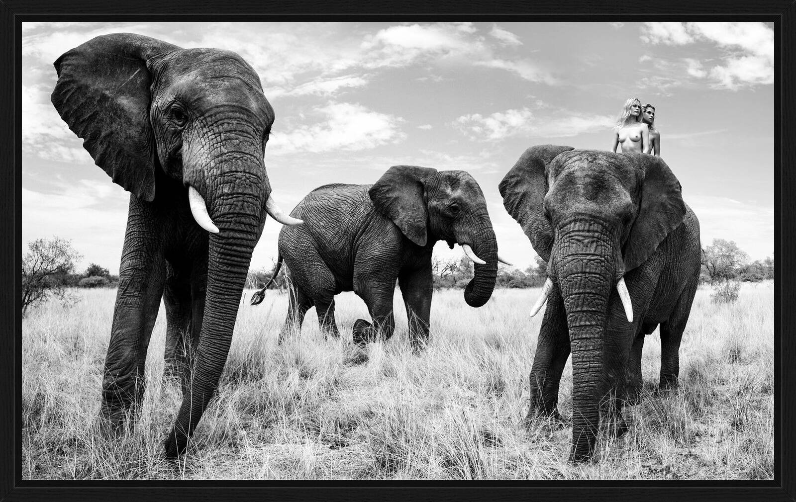 Warriors by Paul Giggle - Limited Edition. Edition of: 150. Signed.