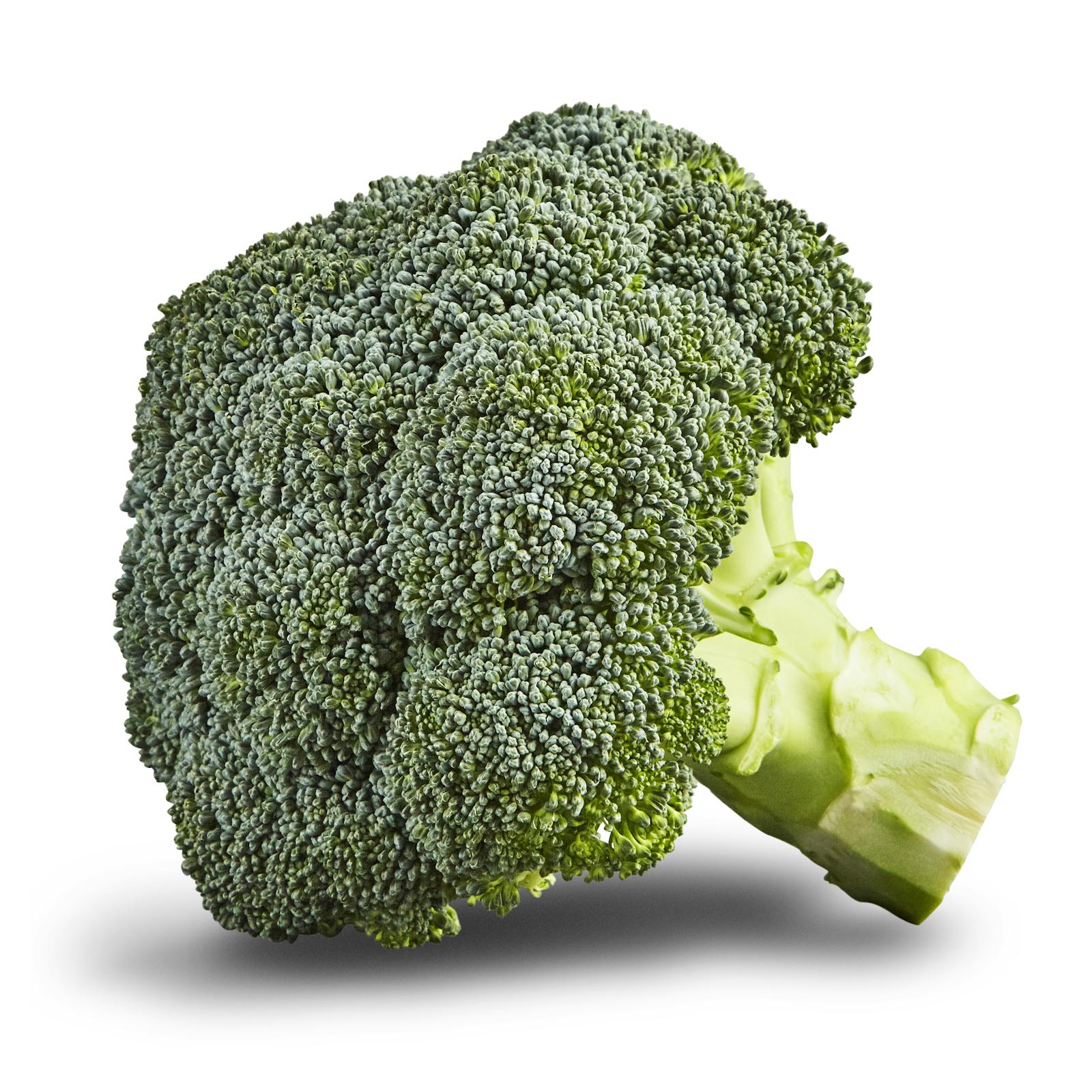 Brocoli