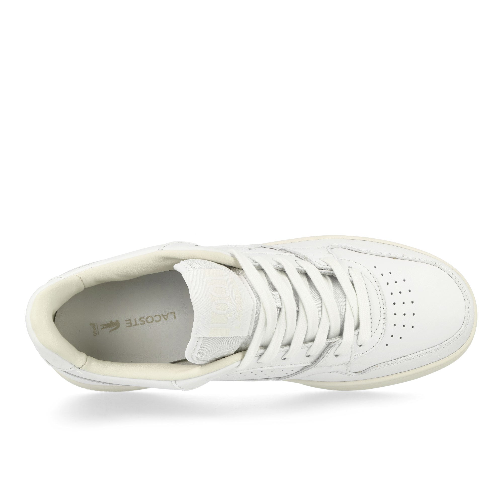 Lacoste<br>L001 SET 224 5 SMA