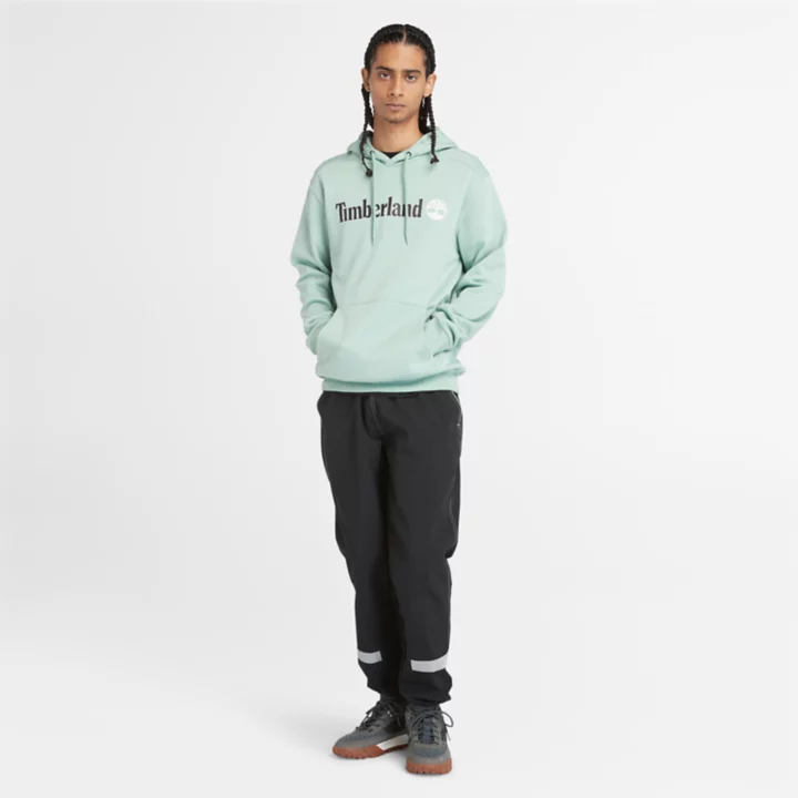 Sweat à capuche et logo linéaire pour homme en vert pâle