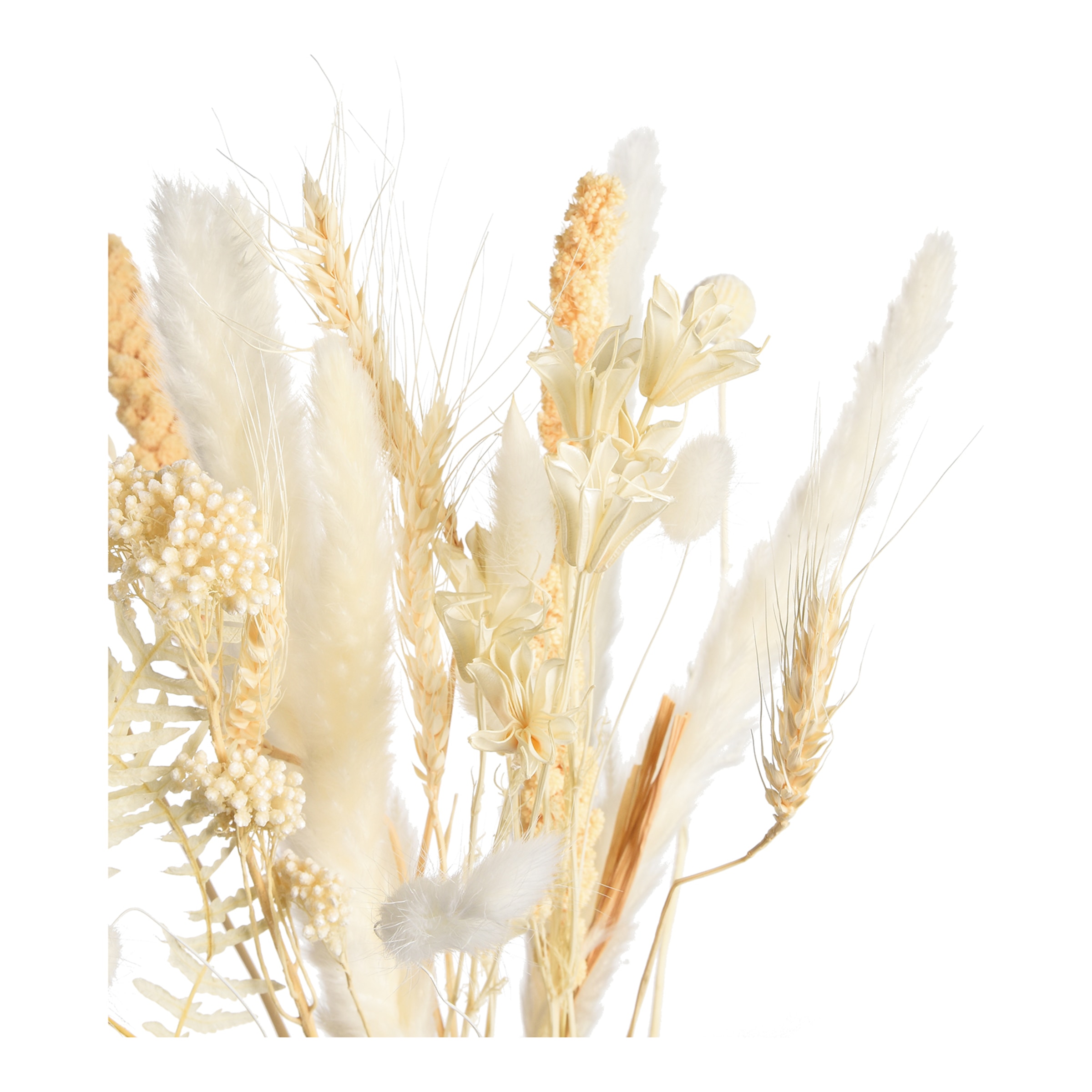 natur, L 45 cm