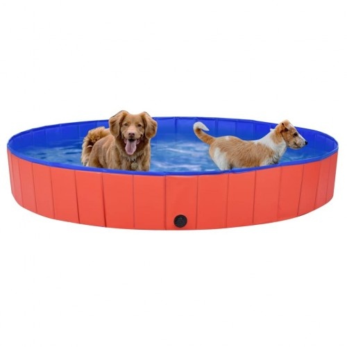 Piscina para cães vermelha e azul