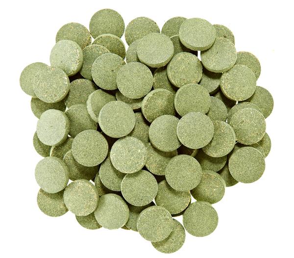 Dehner Aqua Spirulina-Tabs, 90 Stk.
