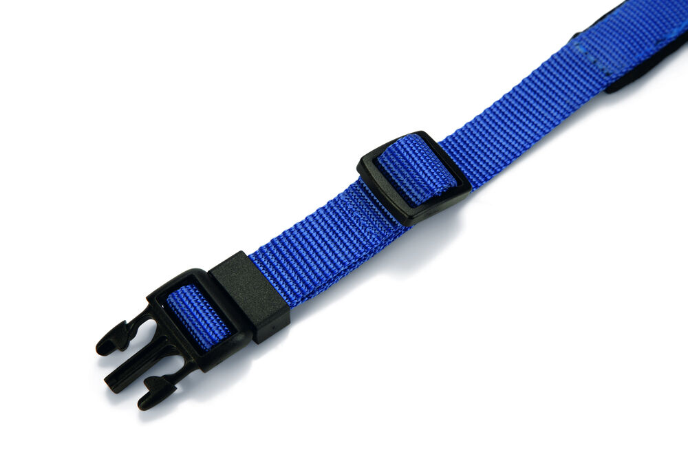 Beeztees Premium Parinca - Halsband Hond - blauw - 30 tot 35 cm
