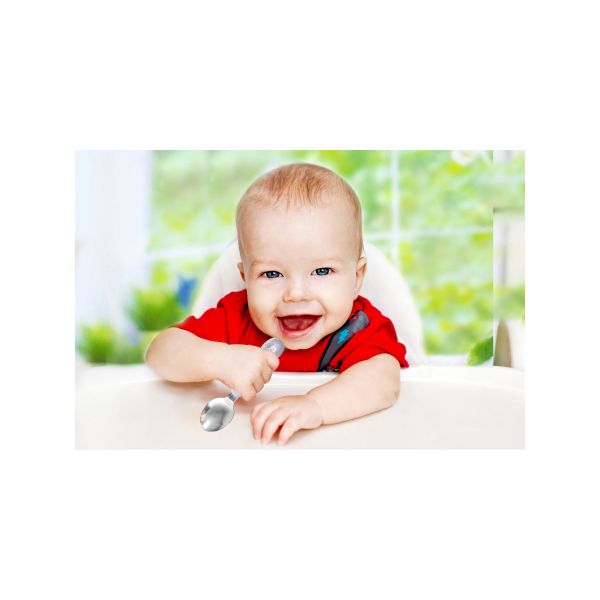 Babyjem Lepel En Vork Staal Grijs