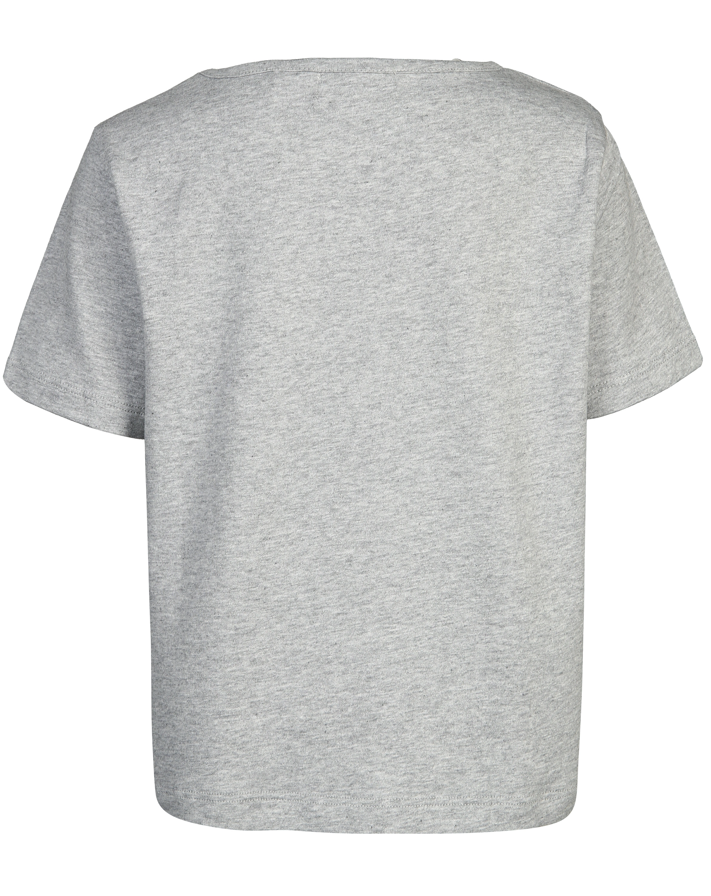 T-Shirt WHALE WATCHING in grau meliert